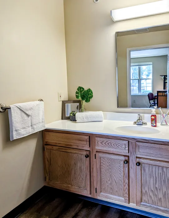 Bathroom with white countertops and wood cabinets