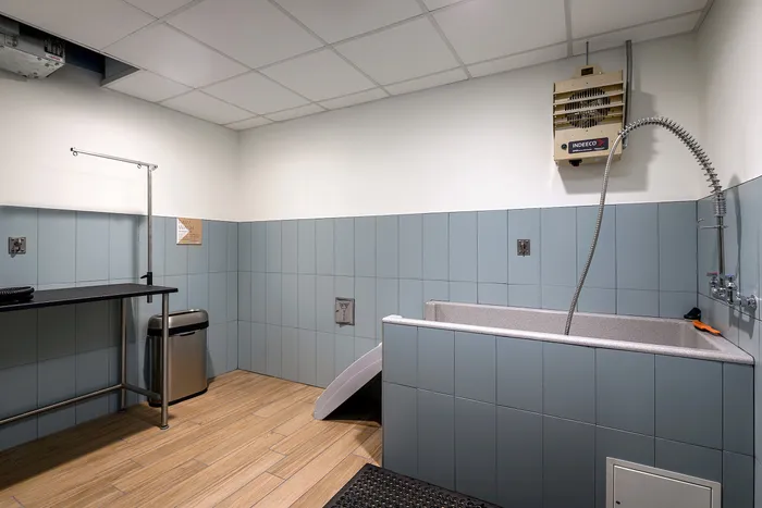 Pet wash room where residents can groom their furry friends