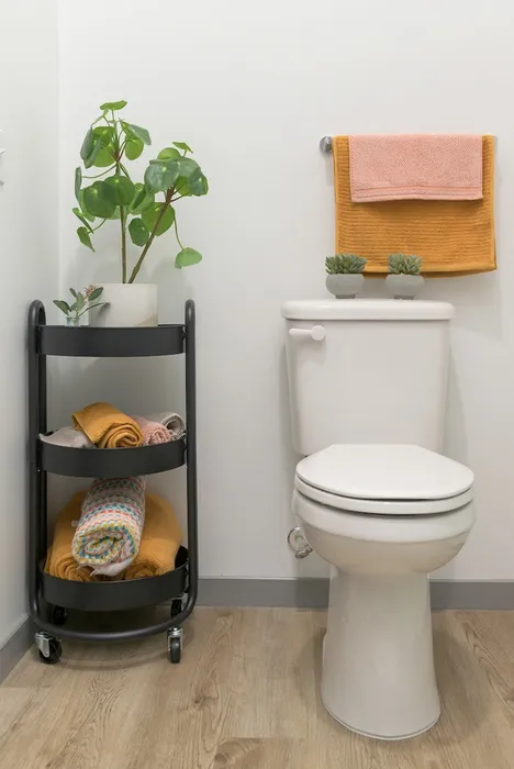 Model Unit Bathroom