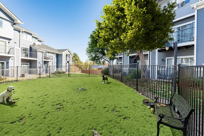 Virtually staged photo of the dog park with dogs playing and toys in the grass