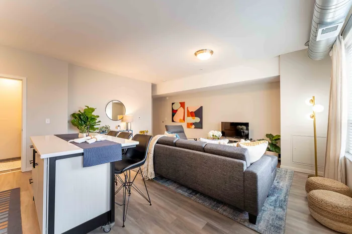 Model unit living room