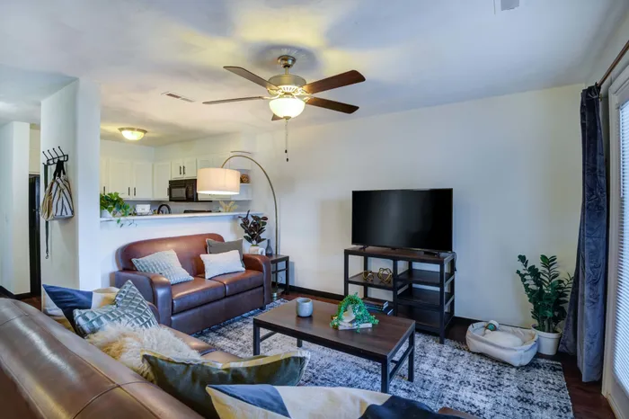 Unit LIving rooms