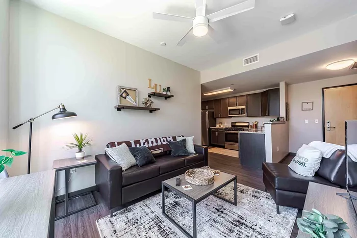 Living Room with kitchen in background