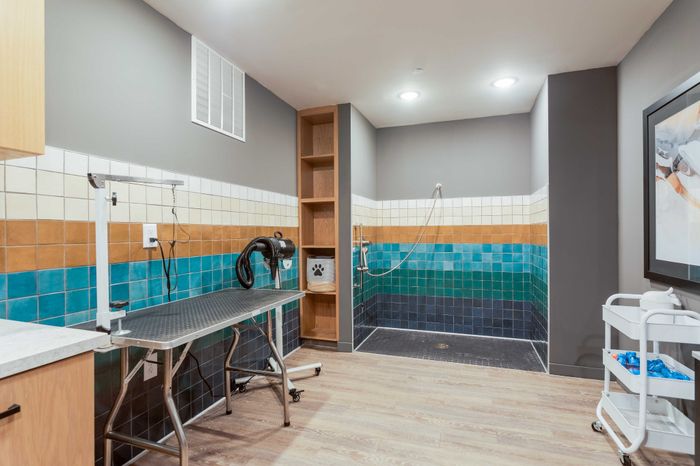 Modern pet grooming station featuring a stylish tiled shower area and grooming table, perfect for animal care in a chic apartment.