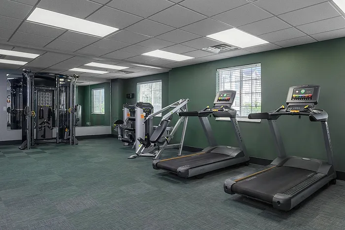 Modern gym with state-of-the-art equipment, including treadmills and strength machines, offering a bright and inviting workout space.