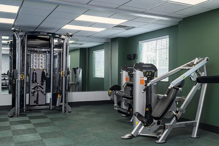 Modern fitness center featuring state-of-the-art gym equipment in a bright, spacious setting with large windows and mirrored walls.