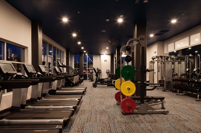 Modern, well-equipped gym with state-of-the-art treadmills, weight machines, and vibrant interior lighting for a premium workout experience.