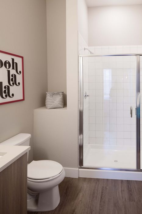 Elegant bathroom with a chic shower, modern fixtures, and stylish decor featuring a playful 'ooh la la' wall art.