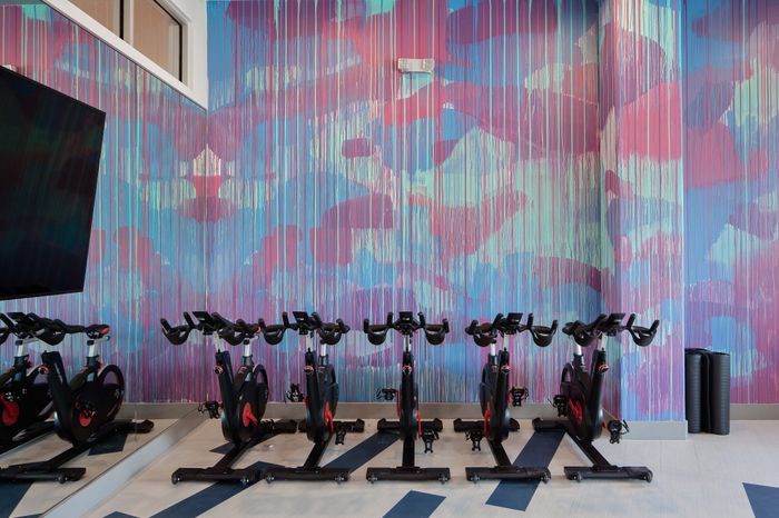 Vibrant indoor cycling studio featuring modern spin bikes and colorful abstract wall art.