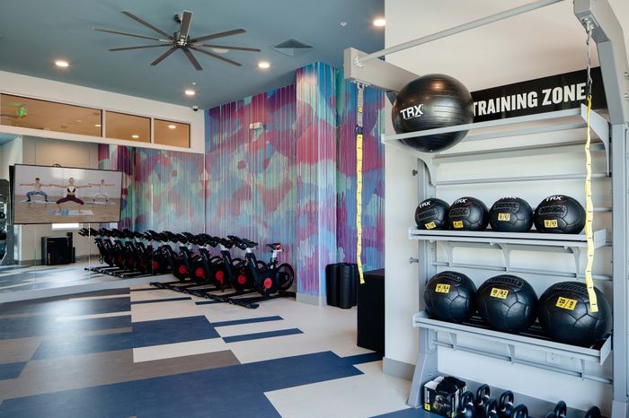 Vibrant fitness room with modern exercise bikes, colorful mural, and TRX equipment, perfect for an energetic workout.