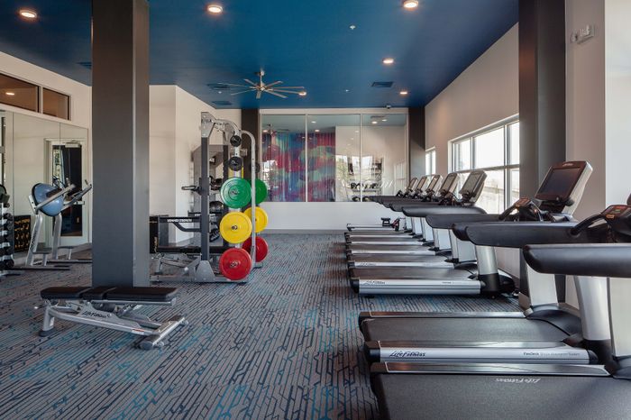 Modern apartment gym with vibrant interiors, equipped with cardio machines, weight racks, and fitness benches.