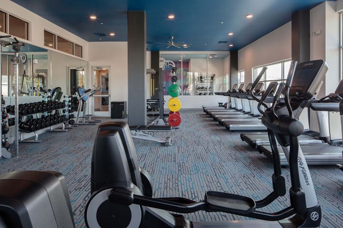 Modern fitness center with state-of-the-art cardio machines, free weights, and vibrant decor, perfect for a healthy lifestyle.