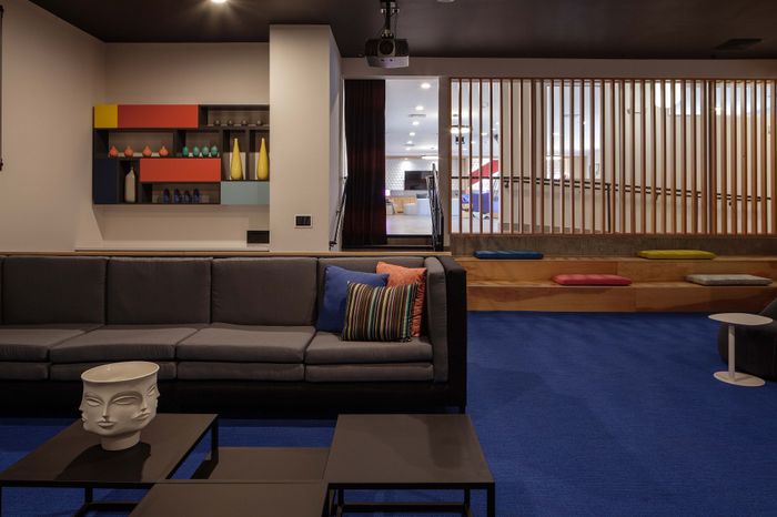 Contemporary living space with vibrant shelving, a cozy gray sofa, and colorful cushions, offering a chic and inviting atmosphere.