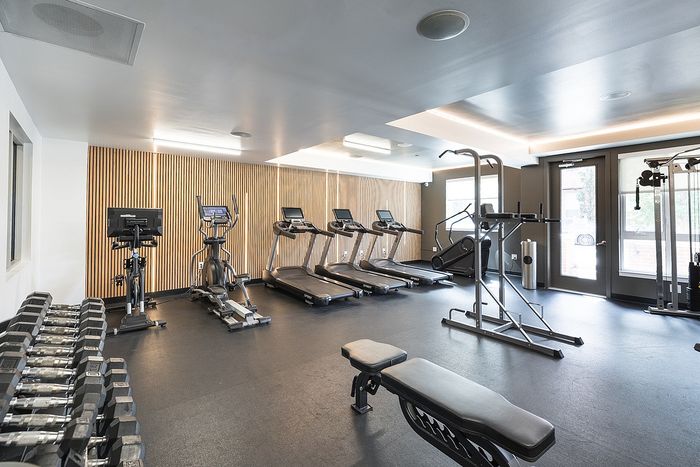 Modern apartment gym in our apartments for rent in Boulder with state-of-the-art equipment, including treadmills, elliptical, weights, and lifting machines, set against a stylish wooden accent wall.