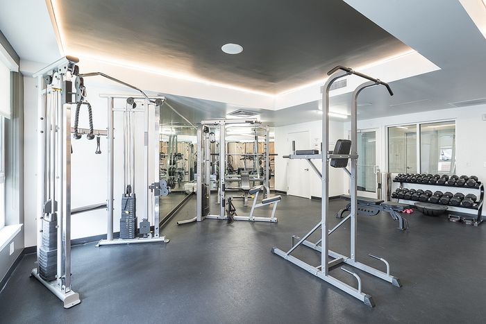 Modern fitness center equipped with state-of-the-art gym equipment, bright lighting, and mirrored walls for an enhanced workout experience.