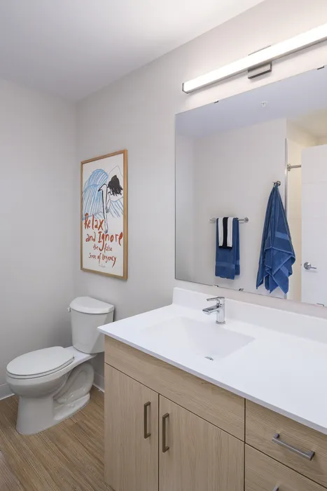 Bright, modern bathroom with sleek wooden cabinetry, elegant white fixtures, and tranquil decor.