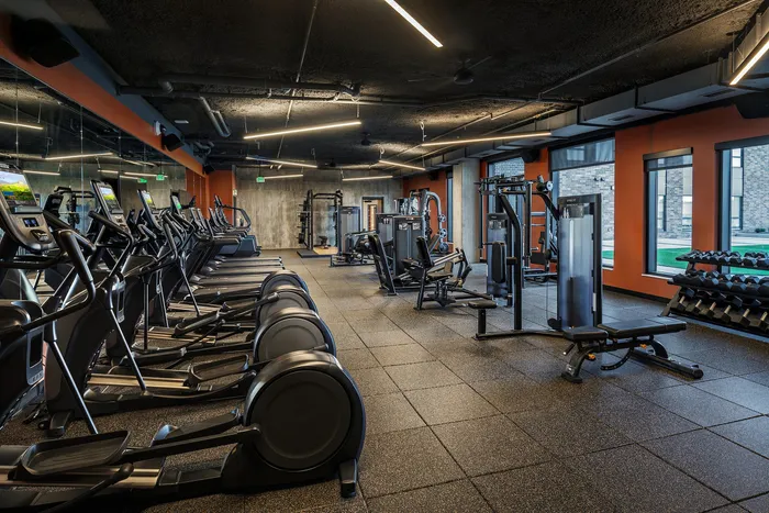 Modern fitness center featuring state-of-the-art cardio machines, sleek weight equipment, and ample natural light.