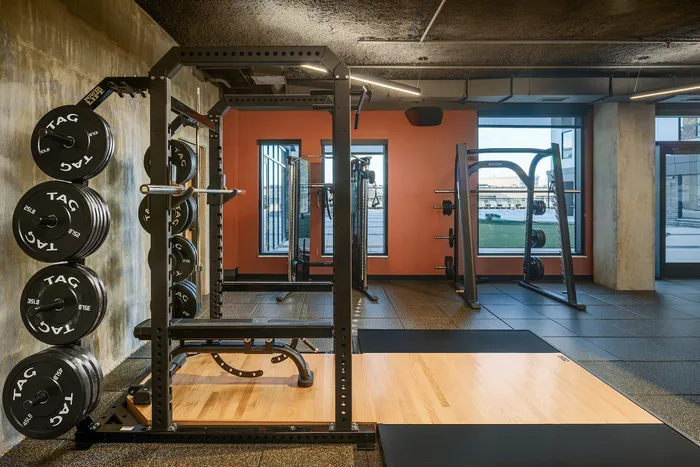 Modern gym space with state-of-the-art weightlifting equipment and large windows for natural light.