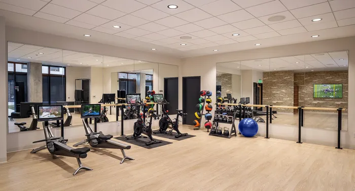 Modern gym with high-end exercise equipment, vibrant workout balls, and sleek mirrored walls for an invigorating fitness experience.