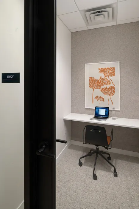 Cozy study room featuring a sleek desk, ergonomic chair, and laptop, ideal for focused work or creative projects.