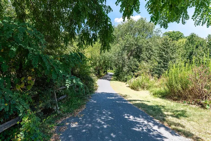 Serene walking path surrounded by lush greenery, offering a tranquil escape into nature.