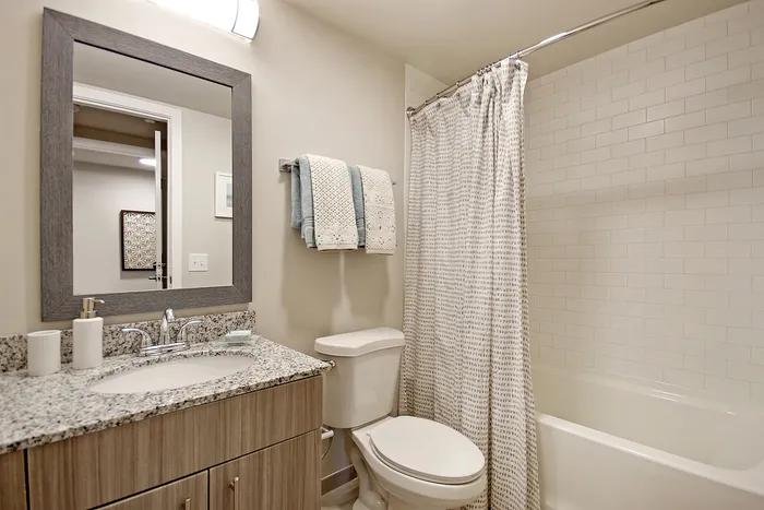 Elegant bathroom featuring a sleek granite countertop, modern mirror, and cozy shower with a stylish curtain.