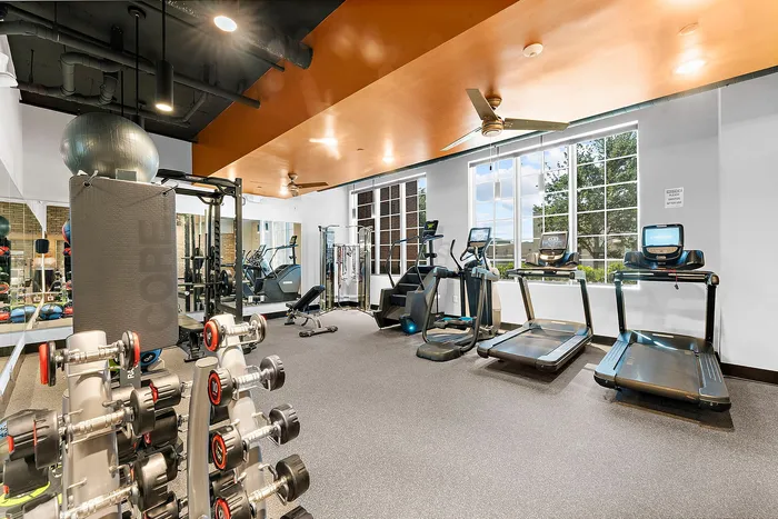 Modern fitness center with state-of-the-art equipment, treadmills, and bright natural lighting through large windows.