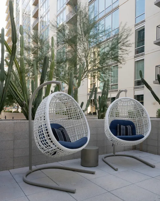 Chic outdoor lounge with modern hanging chairs and lush cacti providing a relaxing outdoor oasis.