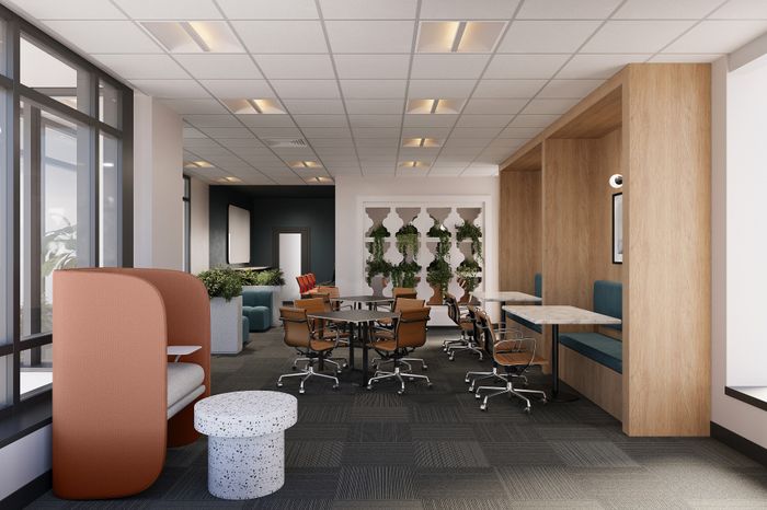 Modern communal workspace featuring elegant wooden booths, stylish chairs, and vibrant greenery for a refreshing office atmosphere.