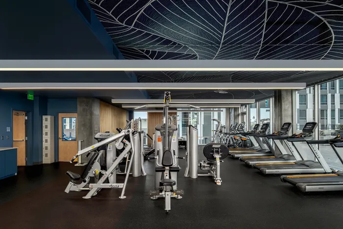 Modern fitness center with state-of-the-art equipment, sleek design, and abundant natural light.