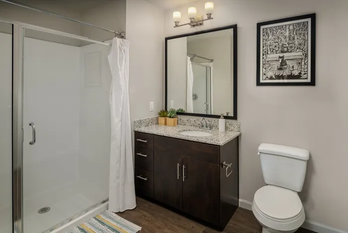 Elegant bathroom featuring sleek glass shower, modern vanity with granite countertop, and tasteful wall artwork.