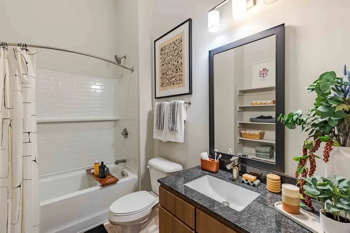 Chic apartment bathroom featuring a sleek granite countertop, modern fixtures, and a bright, stylish decor with abundant natural greenery.