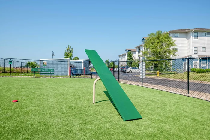 dog park