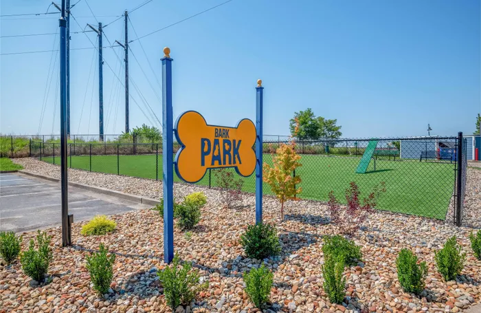 dog park