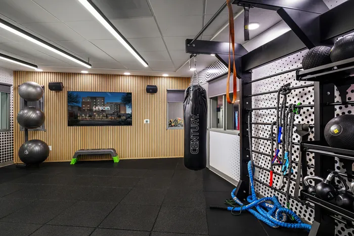 Modern fitness room equipped with punching bag, exercise balls, and resistance ropes, showcasing a sleek design and optimal workout space.