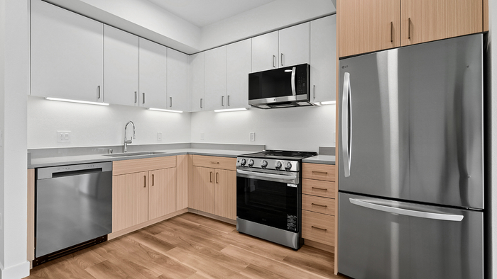 Sleek modern kitchen with stainless steel appliances, stylish cabinetry, and hardwood floors.