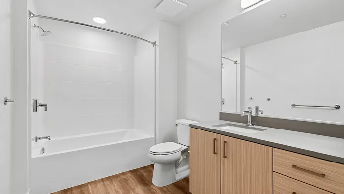 Elegant modern bathroom with sleek fixtures, wood-style flooring, and spacious vanity, offering a serene ambiance.