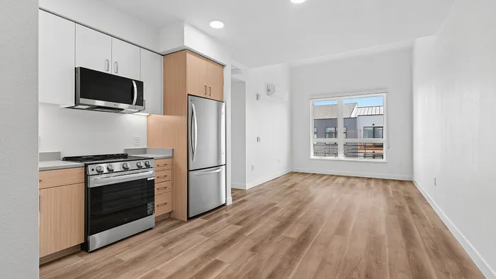 Modern open-plan kitchen and living space with sleek appliances, wood flooring, and bright natural light.