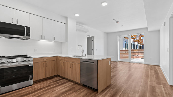 Modern kitchen with sleek cabinetry, stainless steel appliances, and spacious open-plan layout leading to a sunlit balcony.