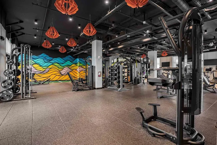 Contemporary fitness center showcasing state-of-the-art gym equipment and vibrant wall art, perfect for invigorating workouts.