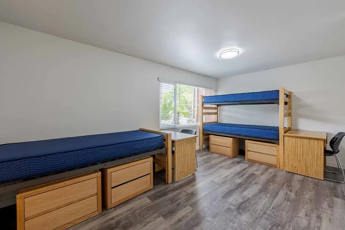 Bright and modern shared bedroom with sleek wooden furniture, ample natural light, and stylish blue bedding.