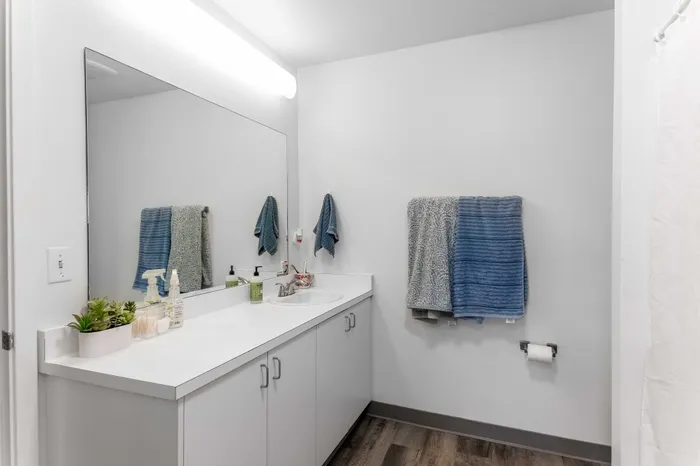 Elegant bathroom with modern fixtures, large mirror, and stylish decor accents.