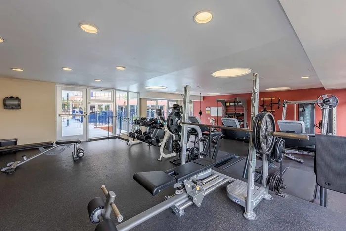 Spacious and well-equipped fitness center featuring modern exercise machines, free weights, and large windows providing ample natural light.