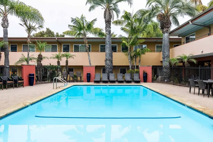 Inviting apartment complex with a crystal-clear swimming pool, surrounded by lush palm trees and stylish loungers.