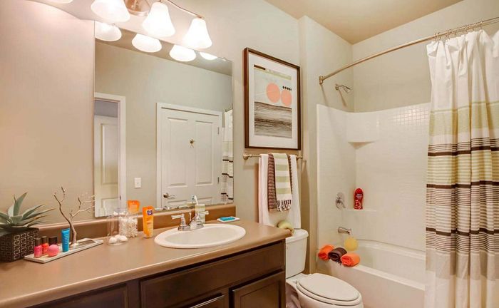 Elegant bathroom with a large mirror, stylish lighting, and a neatly arranged vanity, featuring a modern shower-tub combination and tasteful decor.