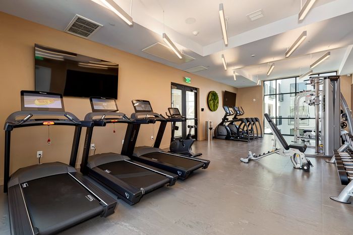 Modern fitness center with state-of-the-art treadmills, sleek elliptical machines, and versatile gym equipment in a bright, spacious setting.