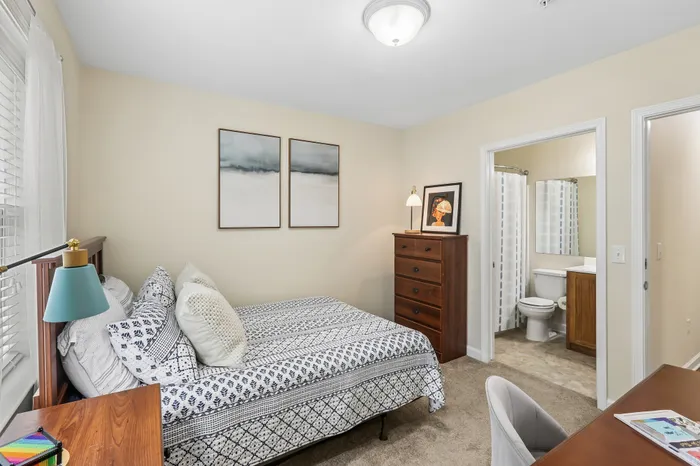 Cozy bedroom with elegant decor, featuring a wooden dresser, plush bedding, and an en-suite bathroom for ultimate comfort.