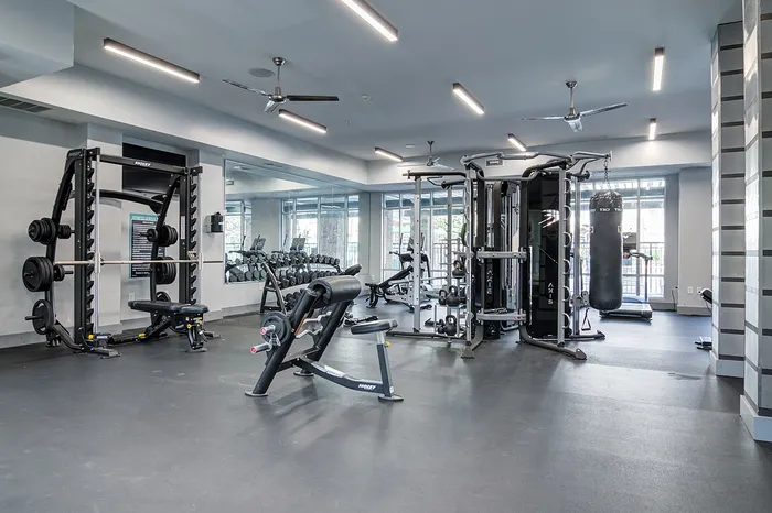 cardio and free weights
