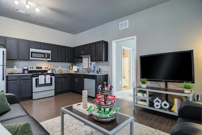 Modern Apartment with Dark Hardwood Cabinets