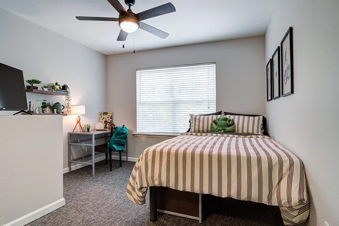Ceiling Fans in Living Spaces